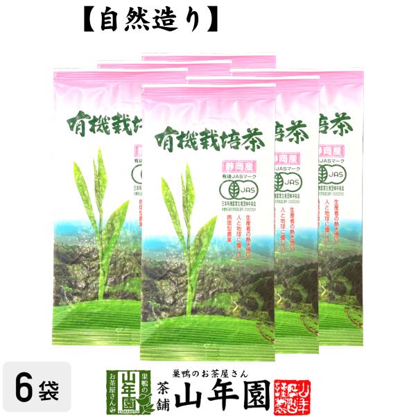 日本茶 静岡産 有機栽培茶 100g×6袋セット 送料無料 お茶 茶葉