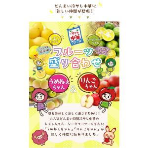 冷やし中華 4種から選べる 5-6食 レモンち...の詳細画像2