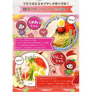 冷やし中華 4種から選べる 5-6食 レモンち...の詳細画像3