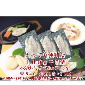 【下関産・旨み凝縮】ふぐ一夜干し 540g(3...の詳細画像1