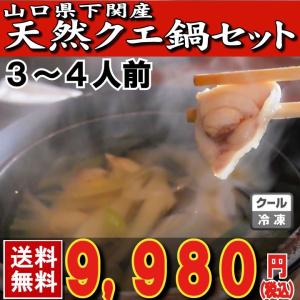 くえ クエ 母の日 父の日 お中元 敬老の日 山口県下関産天然クエ鍋セット３〜４人前（450ｇ）｜yamanishisuisan