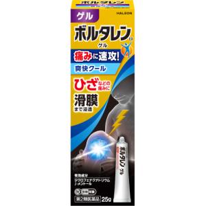 25g / 1個