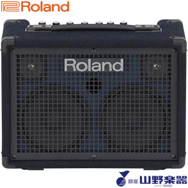 Roland Battery Powered Stereo Keyboard Amplifier K...