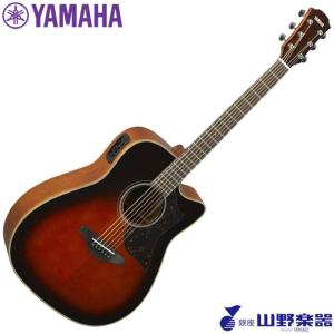YAMAHA エレアコギター STORIA III : 山野楽器 楽器専門Yahoo!ショップ