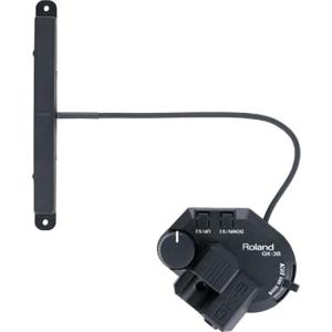 SCHECTER SCHECTER MONSTER TONE TE / Tapped(F,R) シェクター ギター