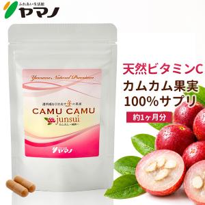 カムカム 粉 粉末 パウダー カムカムパウダー 30g 無農薬 カムカムの粉