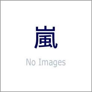 嵐／Ｔｒｏｕｂｌｅｍａｋｅｒ（通常盤）