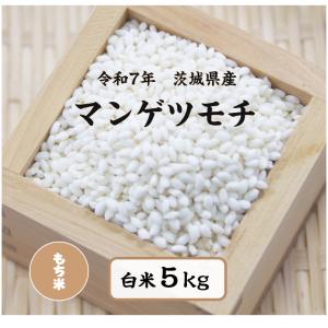2024年産 大粒米 「アメリカ産カルローズ 10kg」 5kg×2袋 : 米屋の