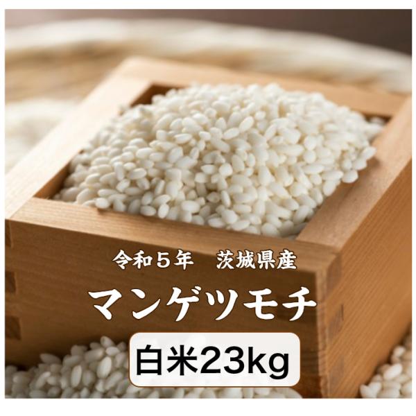 もち米 23kg「５年茨城県産 マンゲツモチ 白米 23kg」送料無料　