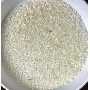 米10kg「7年産 東北規格外 白米 10kg...の詳細画像1