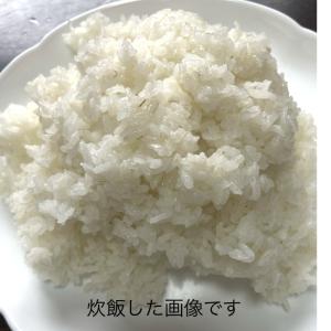 米10kg「7年産 東北規格外 白米 10kg...の詳細画像3