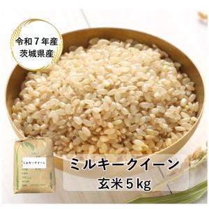 ミルキークイーン 米 5kg 無洗米「7年産茨城ミルキークイーン一等 無