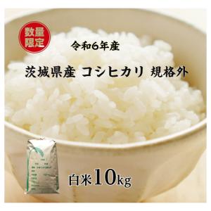米 10kg「令和6年産 コシヒカリ 規格外 白米10kg」送料無料　訳あり米　数量限定