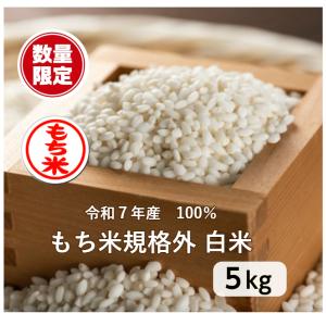 もち米 5kg 訳あり「令和４年産 小さいおモチ 白米5kg」数量限定