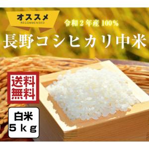 米 5kg「2年産 長野コシヒカリ中米 白米5ｋｇ」ブレンド米　送料無料