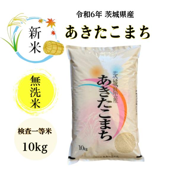 米 10kg 無洗米「５年産 茨城 あきたこまち 一等米 無洗米 10kg」送料無料 二重包装