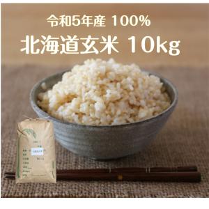 玄米 10kg「北海道 規格外 玄米10kg」１人１個限り 送料無料　こつぶ　玄米