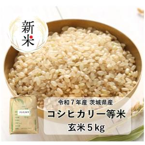 令和6年産 お米 あきほなみ 5kg 1セット 特A 最優秀金賞受賞 米