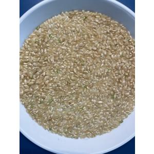玄米 5kg「7年産 茨城コシヒカリ 一等米 ...の詳細画像1