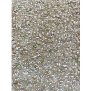 玄米 5kg「7年産 茨城コシヒカリ 一等米 ...の詳細画像2