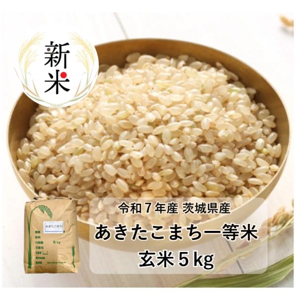 玄米 5kg「５年産 茨城 あきたこまち 一等米 5kg」送料無料 玄米