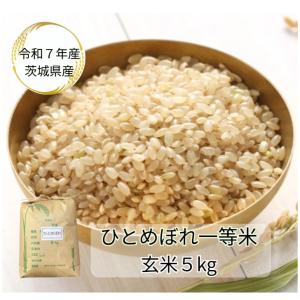 あきたこまち 玄米 5kg「7年産 茨城 一等米 玄米 5kg」送料無料
