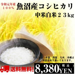 米 30kg 28年産「魚沼のお米 上中米 白米27kg」送...
