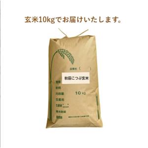 玄米 10kg「7年産 秋田こつぶ玄米 10k...の詳細画像3