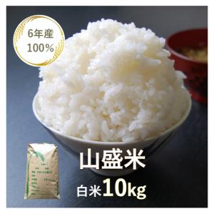 米 10kg「6年産100% 山盛米 白米１０kg」ノークレームノーリターン商品　訳あり米　小粒　送料無料　ヤマライス