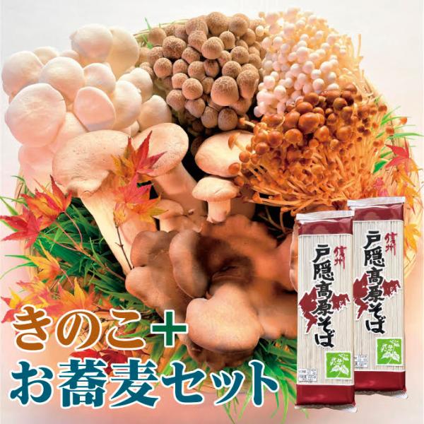 きのこ 産地直送 長野県産 ギフト 6〜7種2.2kg 信州戸隠そば 2袋入り 信州　黒あわび茸　黒...