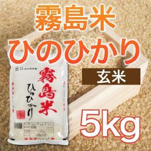 令和5年産 霧島米ヒノヒカリ 玄米 5kg 送料無料（一部地域を除く）｜yamanouchi-kome