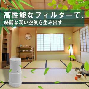 【訳あり】シャープ加湿空気清浄機 交換用 Ag...の詳細画像4