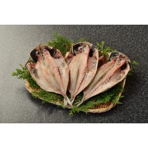 とろあじ（3枚） 脂のり最高 肉厚 干物