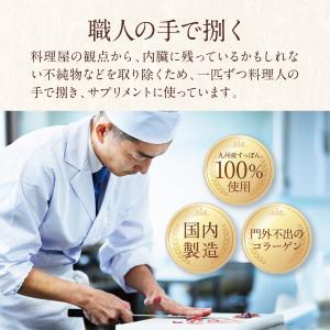 すっぽん サプリ すっぽんの恵みプレミアム 1...の詳細画像1