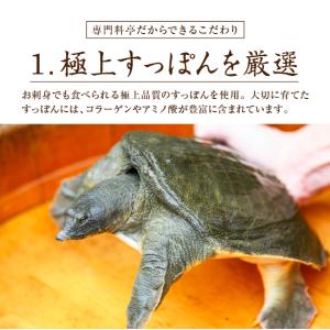 すっぽん サプリ すっぽんの恵みプレミアム 1...の詳細画像2