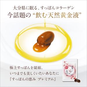すっぽん サプリ すっぽんの恵みプレミアム 1...の詳細画像5