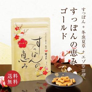 すっぽん小町 62粒 31日分 送料無料 ポスト投函 : 総合通販デパコ