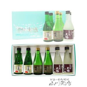 母の日 2024 ギフト　日本酒 岐阜銘酒 飲み比べセット A 300ml × 6本セット 要冷蔵