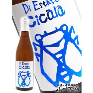 父の日 お中元 2026 ギフト　三井の寿 夏純吟 Cicala チカーラ 720ml 福岡県 みいの寿 要冷蔵 日本酒