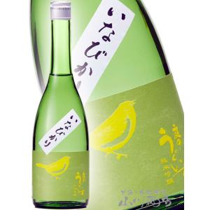 田酒 【2026年6月】田酒 純米吟醸 彗星 720ml : 酒のとんだ - 通販