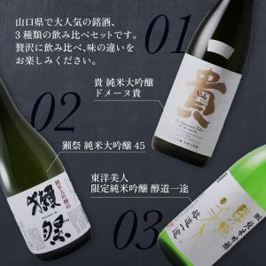 獺祭 45 東洋美人 醇道一途 ドメーヌ貴 純...の詳細画像1