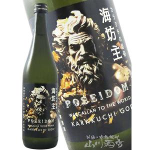 ハロウィン 2026 ギフト 天吹 あまぶき 超辛口純米酒 ポセイドン 火入 720ml 佐賀県 天吹酒造 要冷蔵 日本酒