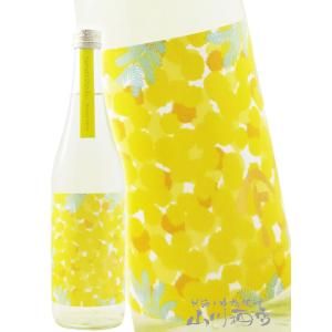 お花見 2026 ギフト やまとしずく 純米吟醸 Mimosa Yellow ミモザ イエロー 720ml 秋田県 秋田清酒 日本酒 要冷蔵