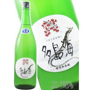 お中元 2026 ギフト 多島海 たとうみ 無添加生もと 生 1800ml 山口県 中島屋酒造場 日本酒 要冷蔵