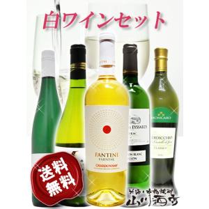 白ワイン 厳選白ワイン5本セット ( 750ml×5 )｜yamasake