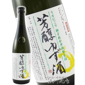 ディサローノ アマレット エトロボトル スペシャルエディション 28