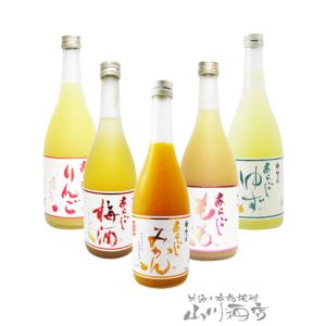 お歳暮 2025 ギフト　梅酒・リキュール あらごしシリーズ 720ml×5本セット   奈良県 梅...