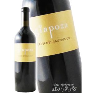 アルマヴィーヴァ 1996年 750ml 箱なし（赤ワイン・チリ） : お酒の