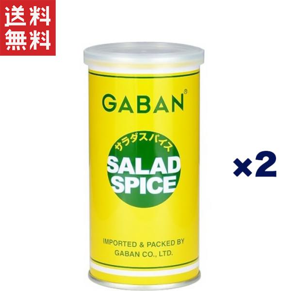 ハウスギャバン GABAN サラダスパイス 100g 缶×2個