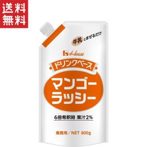 ハウス食品 キャップ付きドリンクベース チャイ 800g 業務用×6個セット